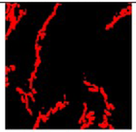 CNN-based segmentation frameworks for structural component and earthquake damage determinations using UAV images
